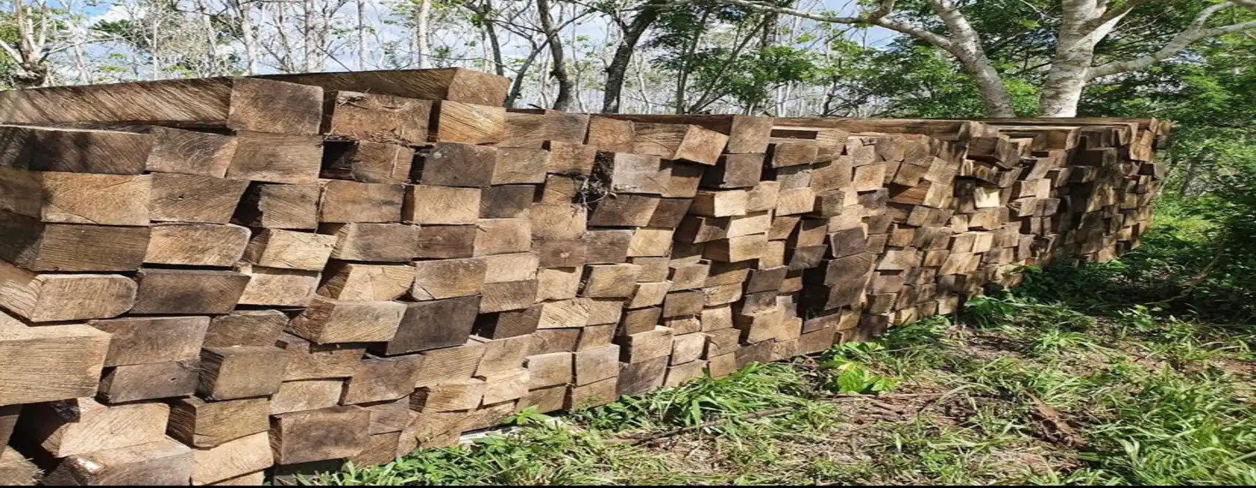 Nuestra area de trabajo con madera