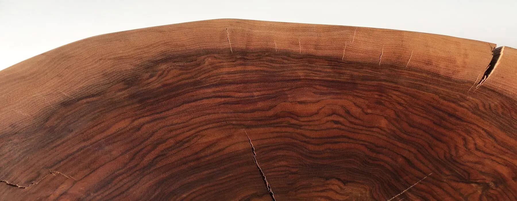 Tronco de madera